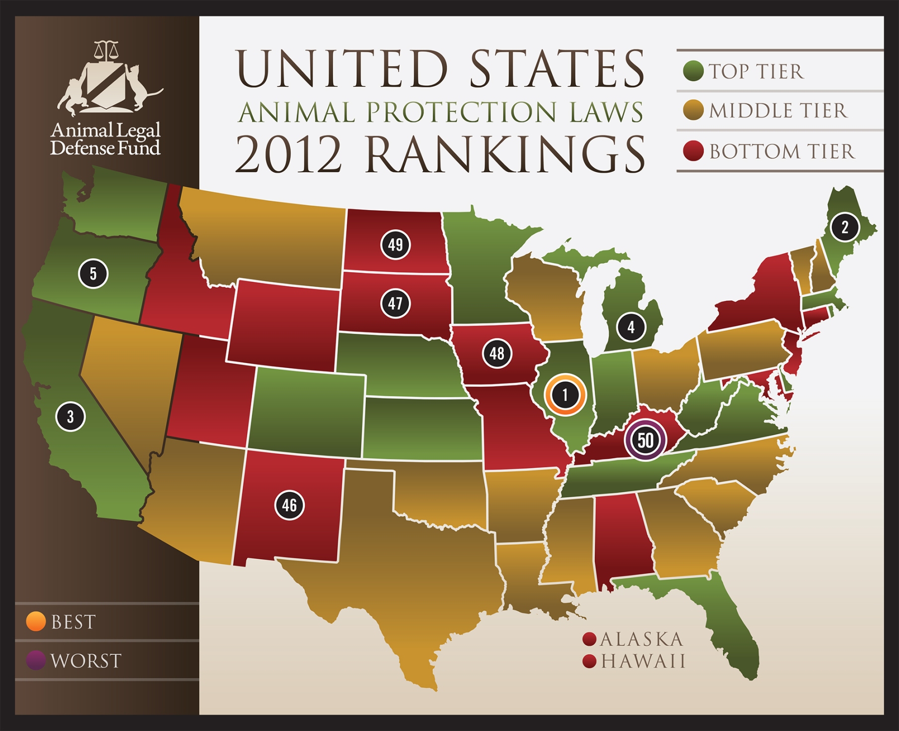 Ranked map. Animals in USA. Animal Protection Fund. Protecting animals. Animals in Law.